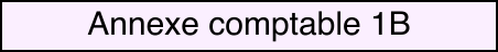Annexe comptable 1B