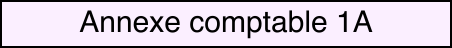 Annexe comptable 1A